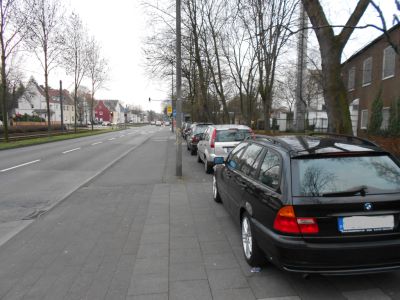 amsterdamer8